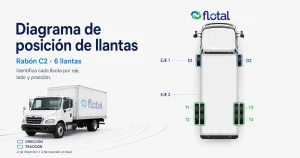 Ejemplo de posición de llantas en un camión de dos ejes