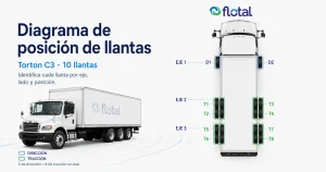 Ejemplo de posición de llantas en un camión de tres ejes